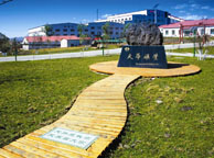 广东天华矿业集团